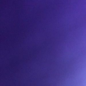 Meet your Posher, Ella